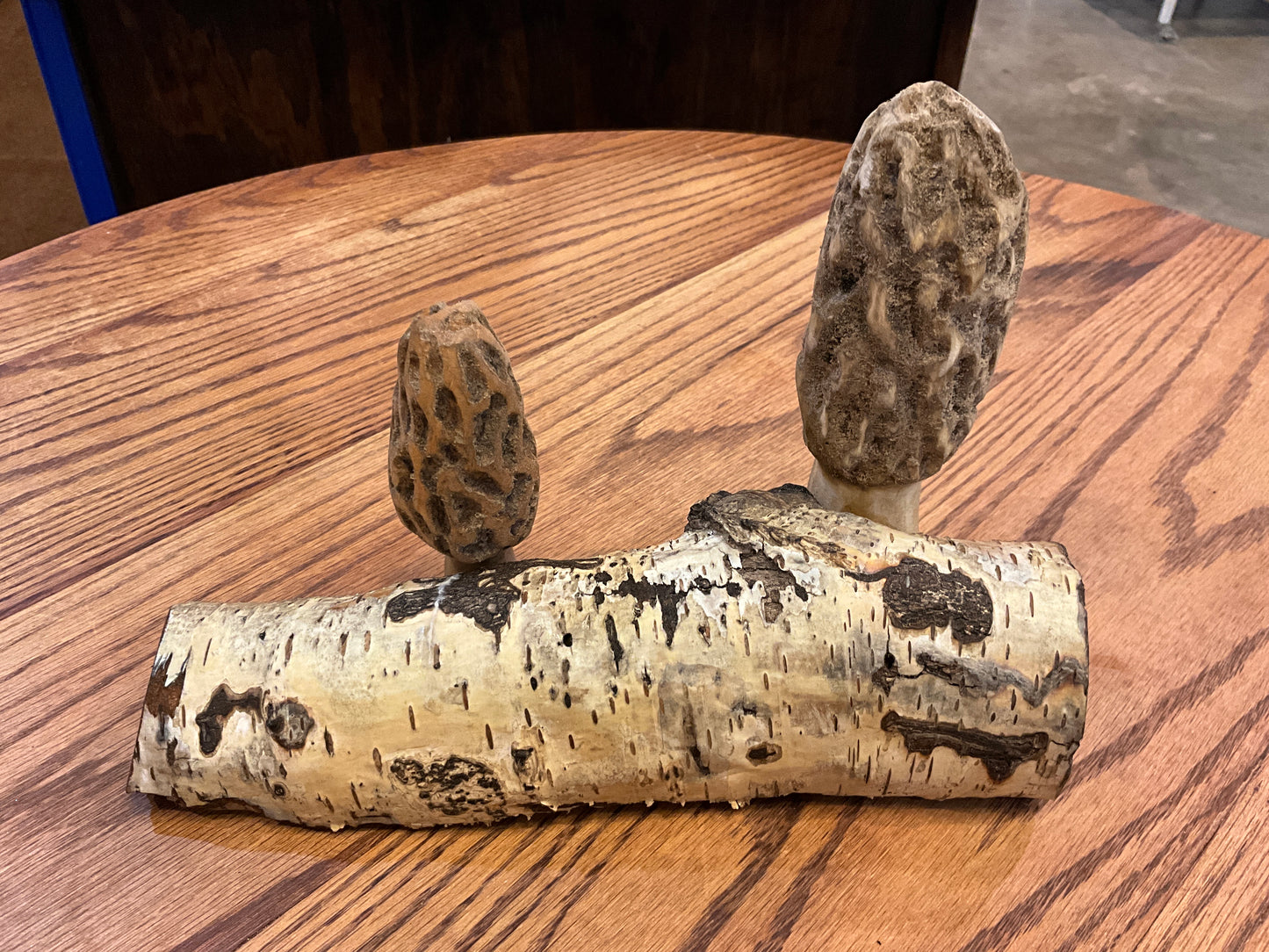Log With Two Mushroom Carving (MW Carvings)