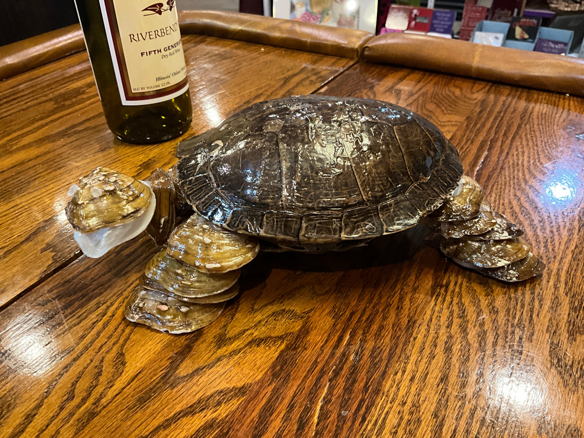 MW Carvings Turtle “Shellsea”