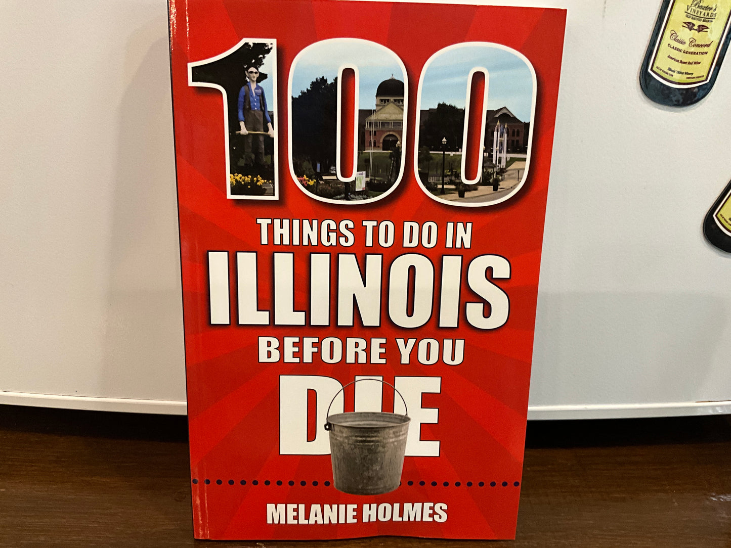 100 Things to do in Illinois Book