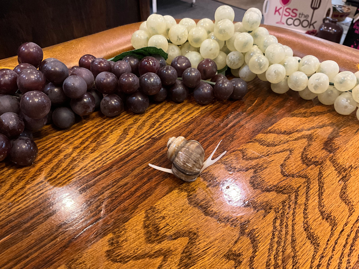 MW Carvings Riverborn Snail: Shellby