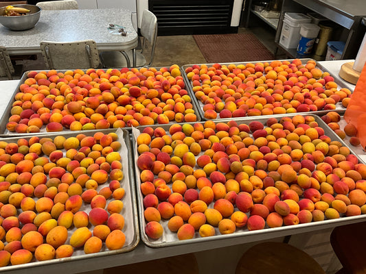 Apricots